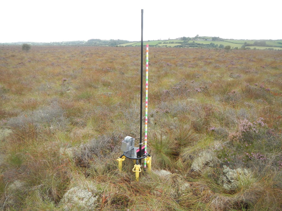 welshraisedbog's tweet photo. Did you know that a healthy peatland can ‘breathe’?😲

As it rains the water levels on the bog surface will rise slightly and the peat surface rises with it🌨️ 

Find out more about this by reading our guest blog by Jennifer Williamson from the @UK_CEH 👇

https://t.co/ZgTJ2BcM8j https://t.co/4XPcql75ED