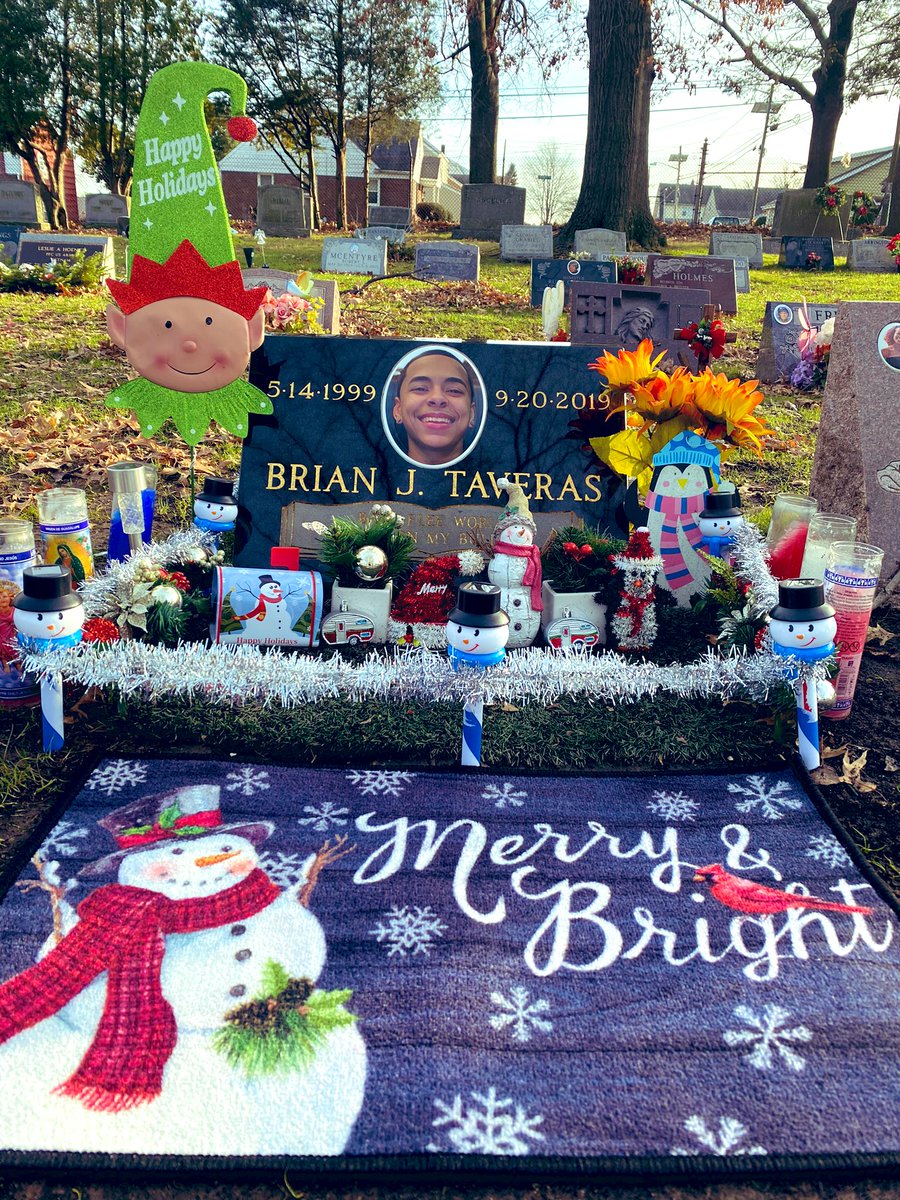 Oh_Shes_Amazing's tweet photo. Happy Holidays 🎄❤️ #longlivebabyflee🥺🕊 https://t.co/0orwNbzK7m