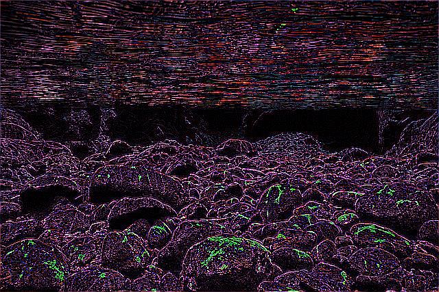 alien_ontology's tweet photo. #alienageless https://t.co/v50X13BZeD