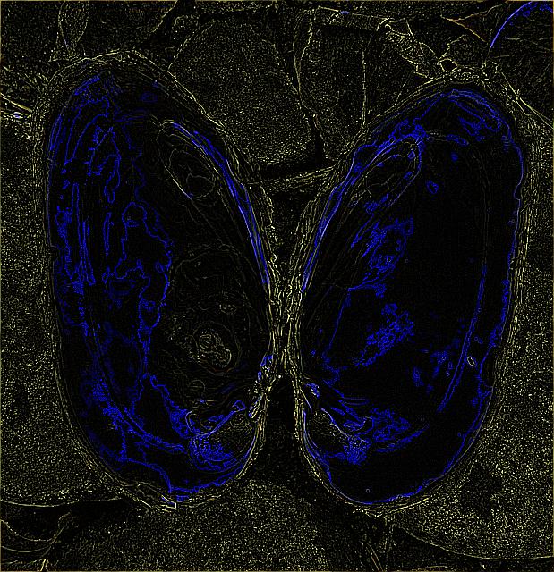 alien_ontology's tweet photo. #alienthetissueswerecounterstainedwithhaematoxylin,processedformountingasdescribedaboveandexaminedwithalightmicroscope. https://t.co/gf0RJpA6q0