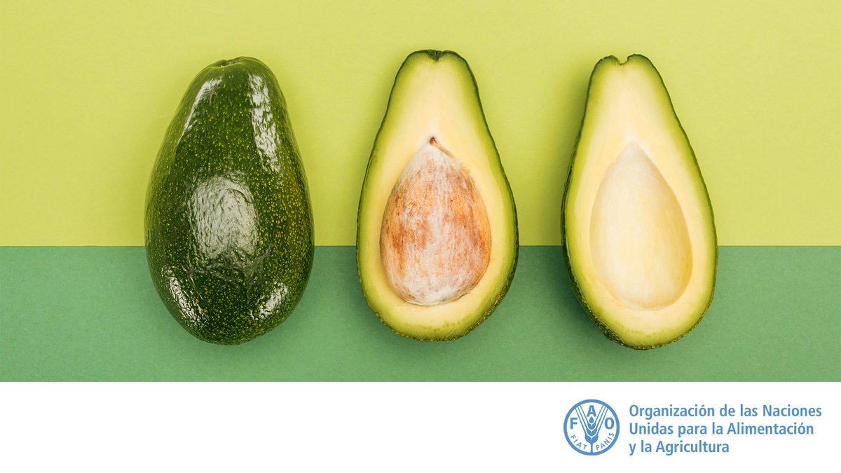 FAOAmericas's tweet photo. #Quiztime

¿Cómo se llama este fruto en tu pías y con que la comes ?
 
🥑🥑🥑🥑🥑🥑🥑🥑🥑🥑🥑🥑🥑🥑🥑 https://t.co/Yy9mj4K3Fq