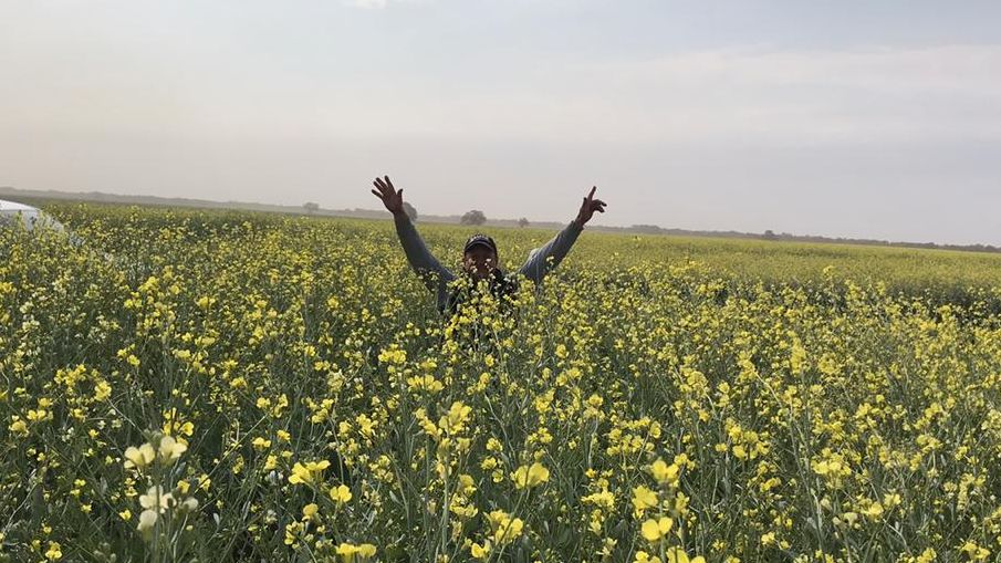 Proud to be supporting growers in Argentina 🚜 
See how Nuseed’s #Carinata program helps contract growers become carbon stewards bit.ly/33TxwzK #sustainability <a href="/NuseedSemillas/">𝗡𝘂𝘀𝗲𝗲𝗱 𝗦𝗲𝗺𝗶𝗹𝗹𝗮𝘀 🌱</a>