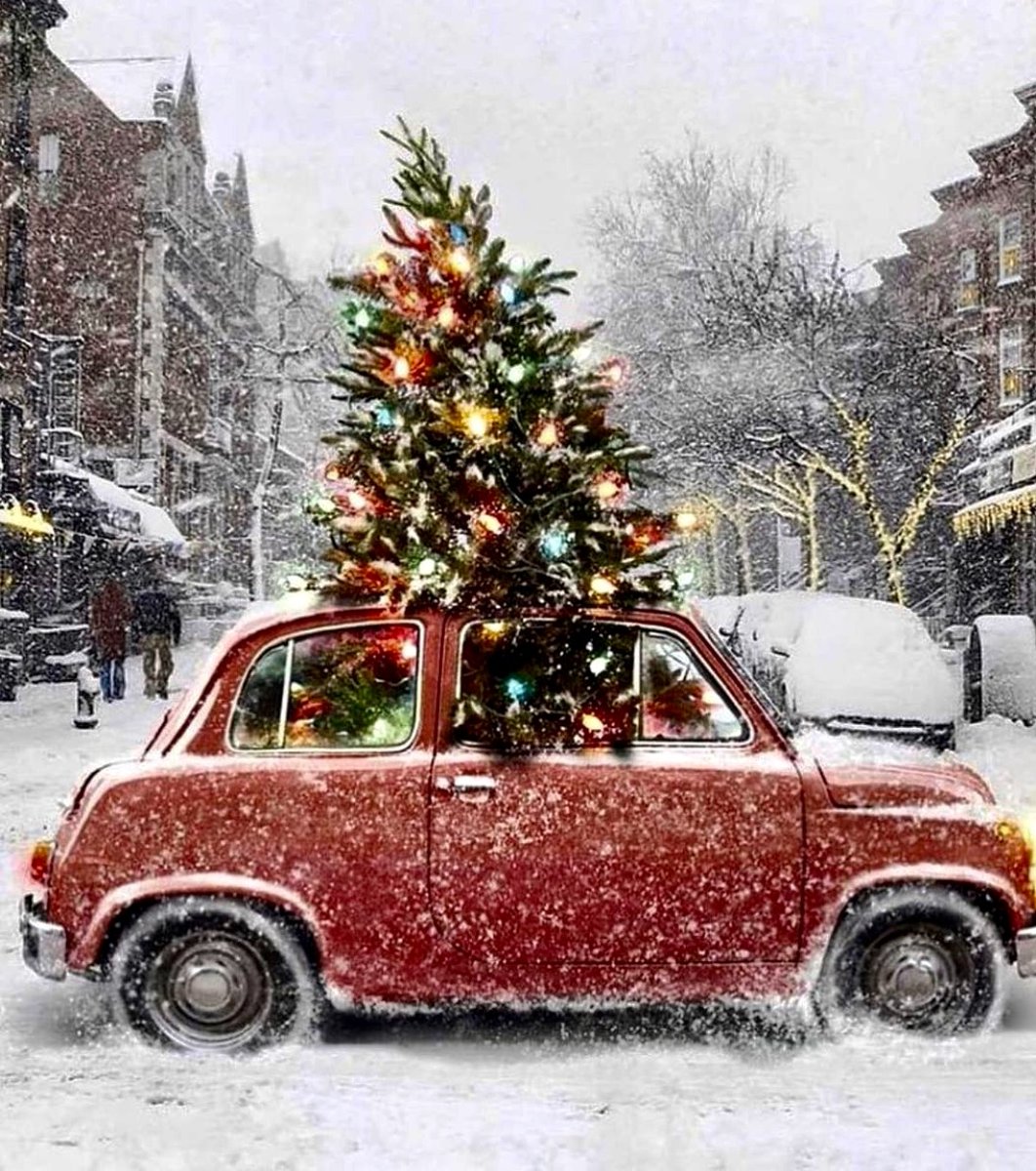 Cream Cornwall tweet media