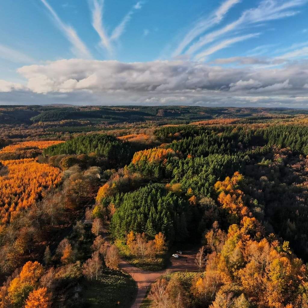 Luke Hemmings 🌻🇺🇦 tweet media