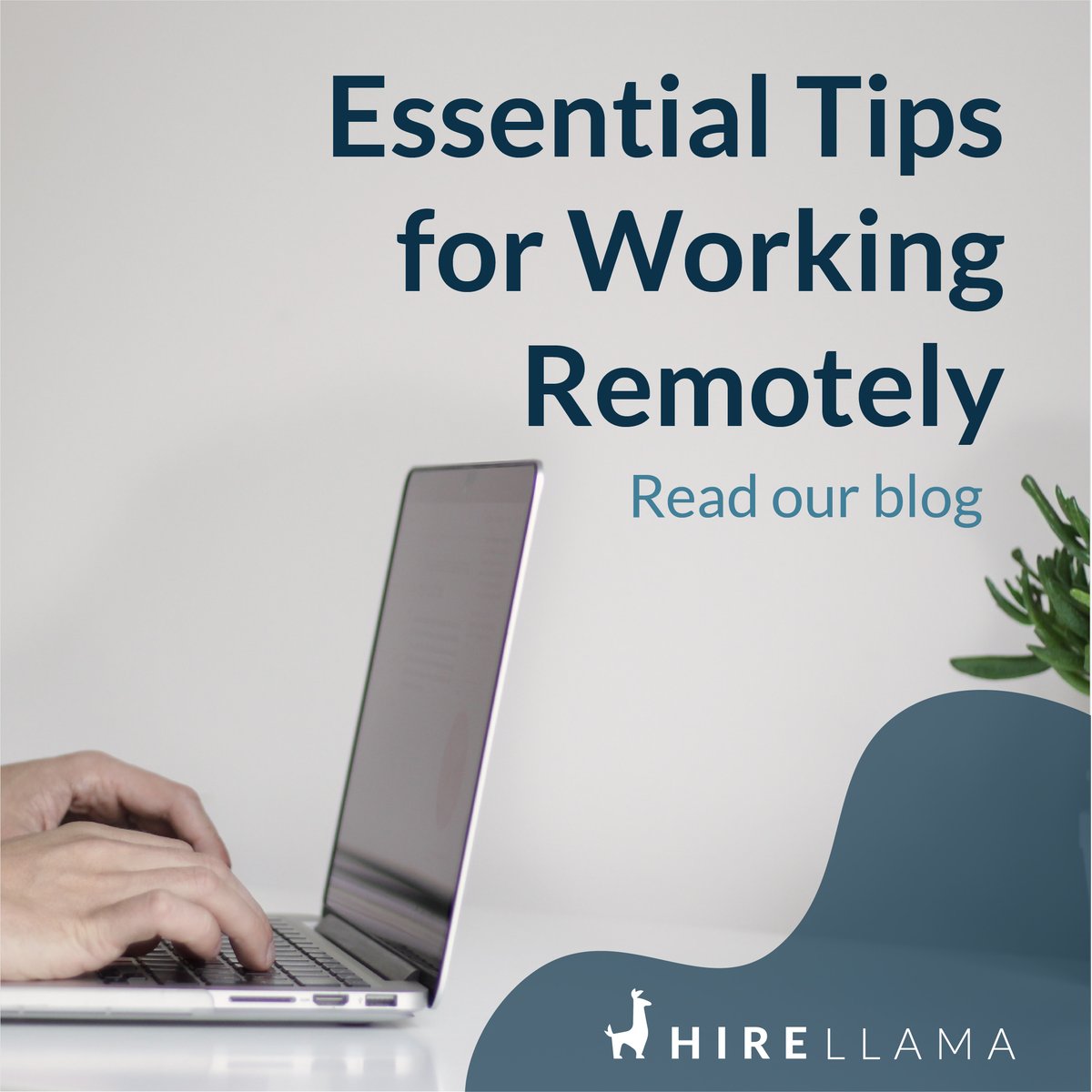 hirellama's tweet photo. If remote working is a territory you haven't explored yet, you can't miss our latest blog. You will find essential tips for being a happy and productive remote worker. Read the blog here: https://t.co/tycBEKj8fS https://t.co/qKdxaLFCgi