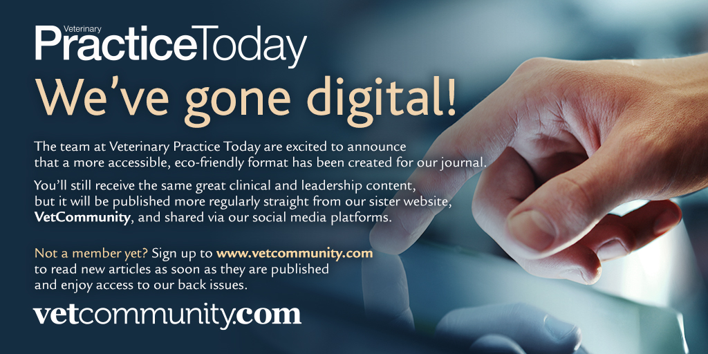 Veterinary Practice Today tweet media