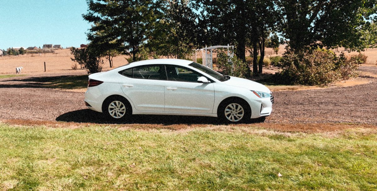 CoralynJackson's tweet photo. PLEASE PLEASE PLEASE if you see a 2020 white Hyundai Elantra with the license plate COJACK pls report it to the cops! It was stolen at 5:40am this morning in my driveway!! PLEASE retweet to spread it to as many people as we can!!! https://t.co/Qe8ZuNpVhq