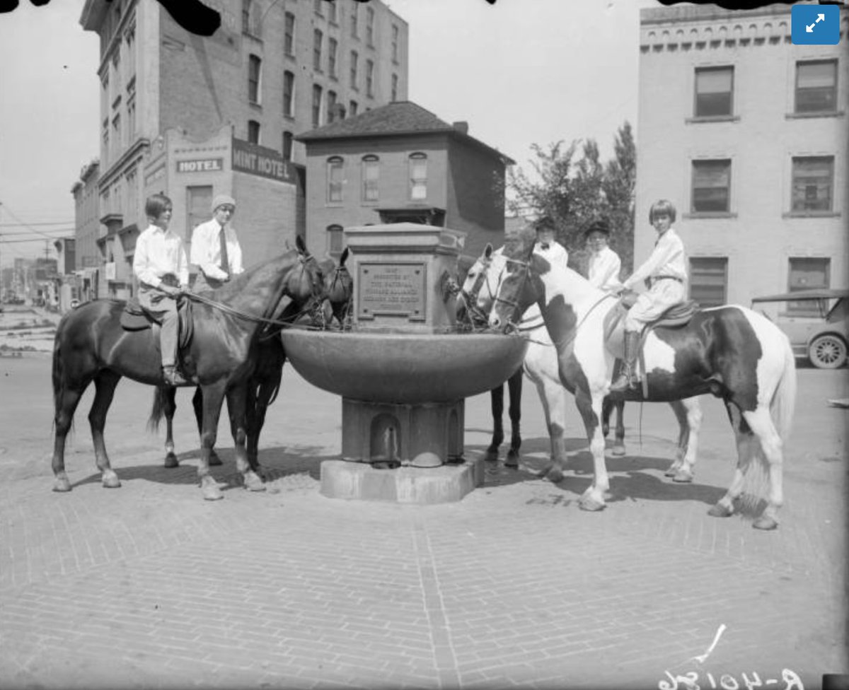 Digging in  @WHGnews' digital collection this morning (you can, too:  https://digital.denverlibrary.org/digital/ ) and found some very excellent  #Colfax images. So please join me on this short screencap tour.Here we are at Colfax and Tremont, circa 1920. There are a few of these horse pix there.