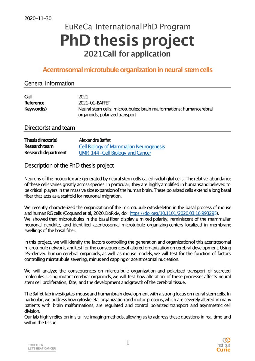 1/4 Job offers, pls RT! We have an @AgenceRecherche-funded postdoctoral position. 'Cell fate decisions in the human developing neocortex' And an @institut_curie / EU-funded PhD position. 'Acentrosomal microtubule organization in neural stem cells'