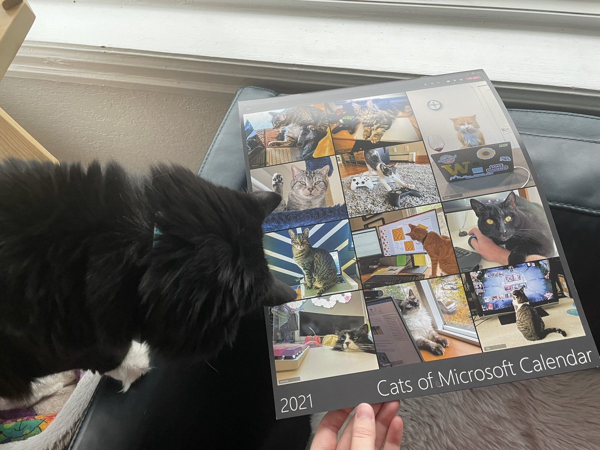 emiliebarnard's tweet image. My cat is featured on the cover of the Cats of @Microsoft calendar! (bottom left)

#CatsOfMicrosoft #MicrosoftLife