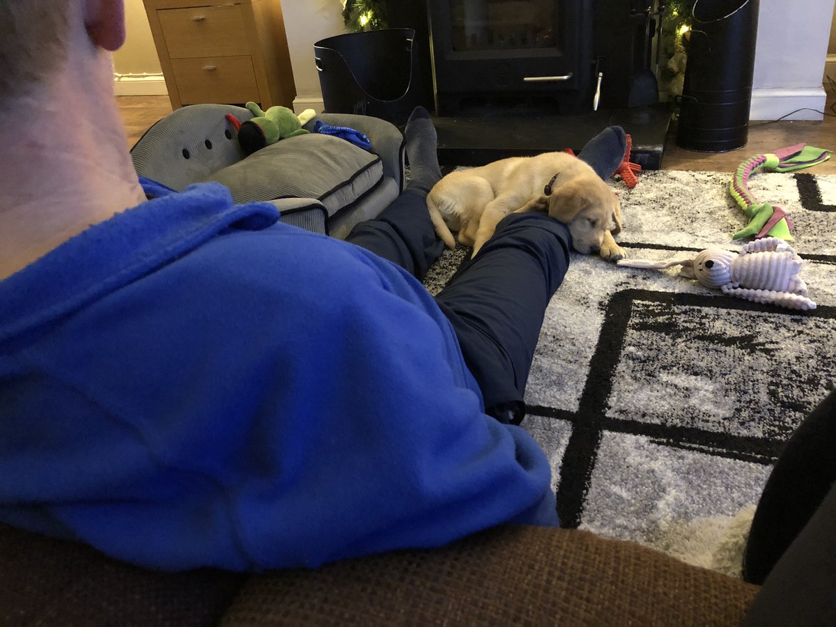 Sandra Beattie tweet media