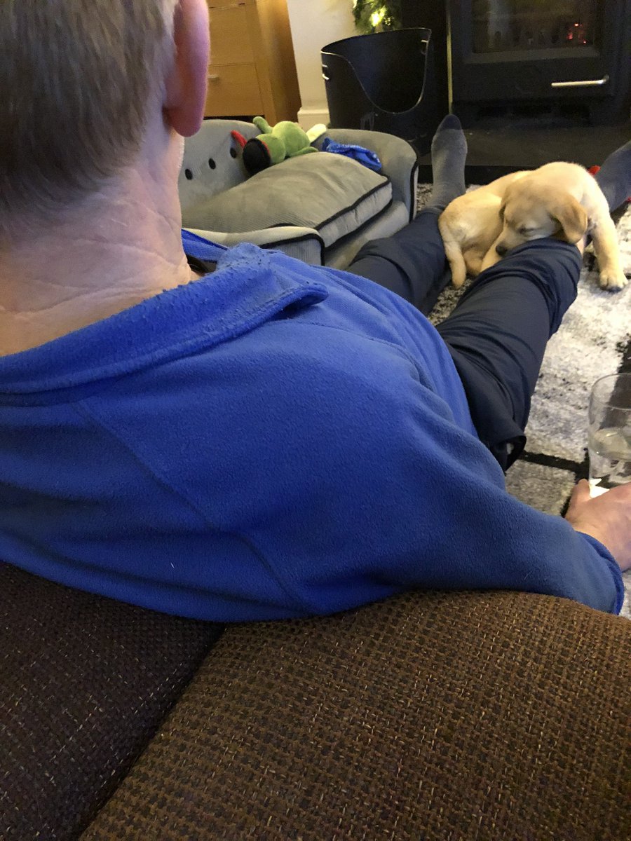 Sandra Beattie tweet media