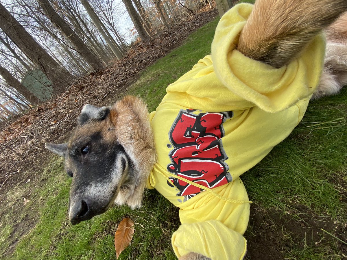 pure2you's tweet photo. in preparing to finish this difficult year, we have one last hoodie up our sleeves. 
the [PüRE TAG] hoodie is modeled by our friend Wallas who reminds us to stay bright &amp; lifted during these dark times. now available to purchase on https://t.co/jv96vJPJHm
Love to [ü] all. <3 https://t.co/Qld0nZS95v