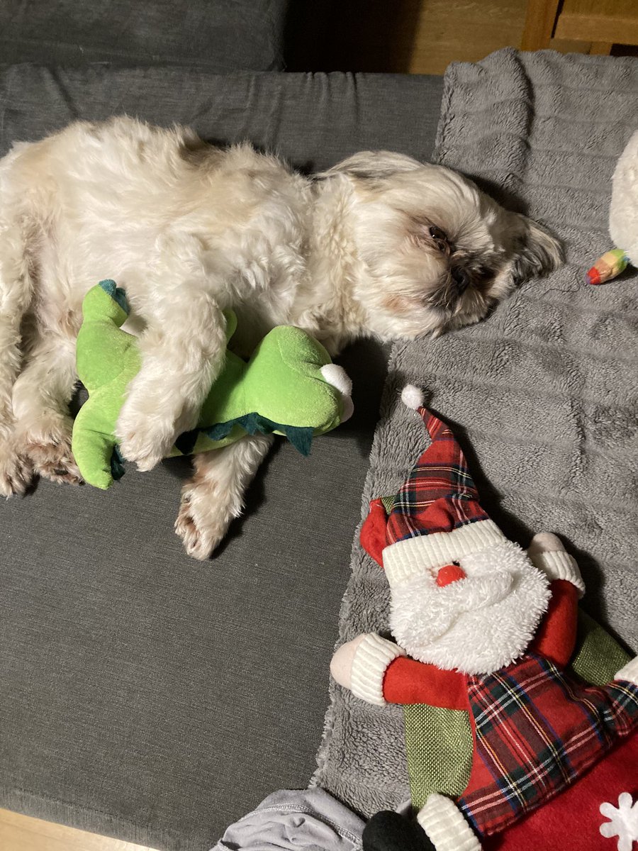 Sometimes chilling out is best@home