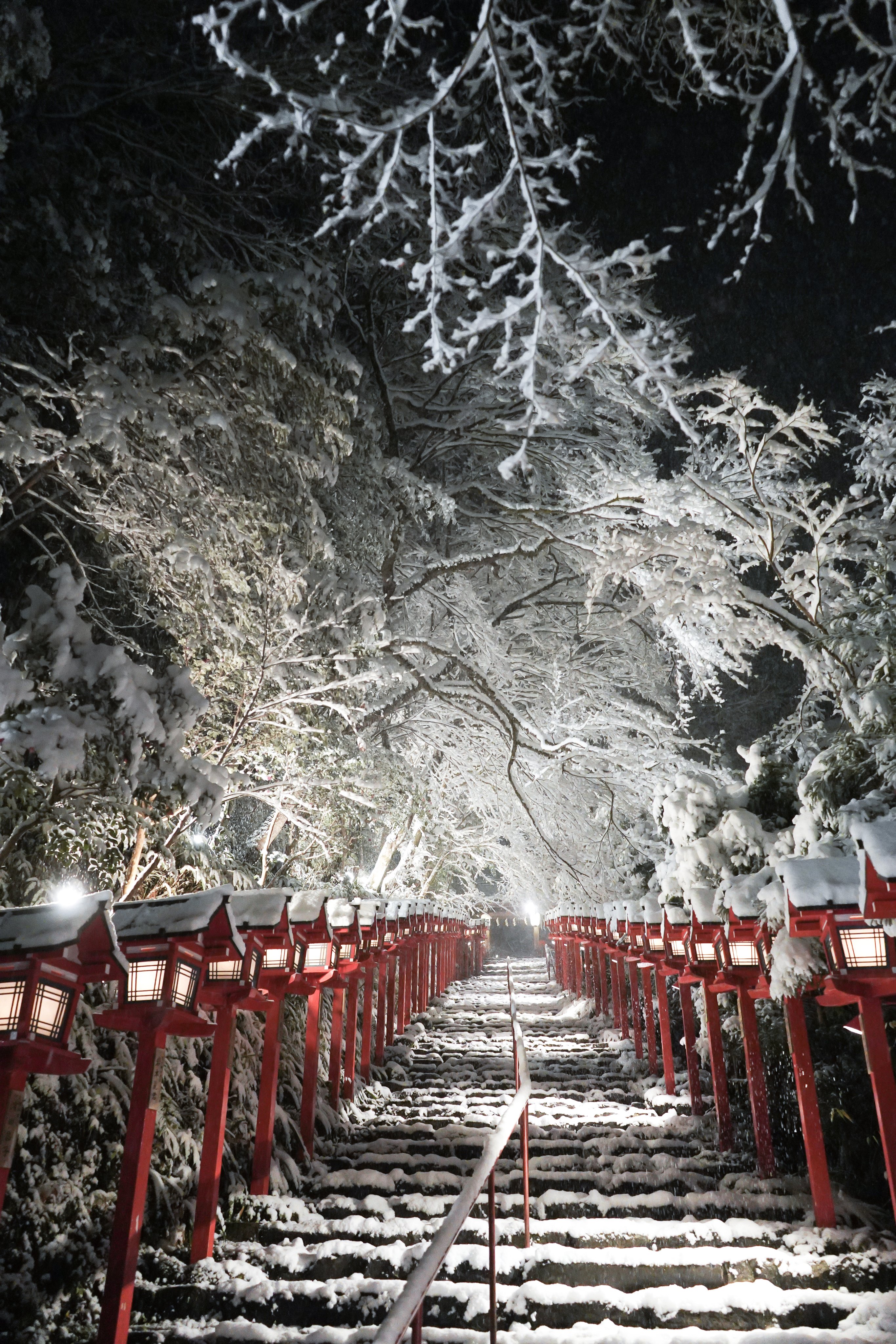 貴船神社 午前5時の雪の様子です 路面の凍結や所により深い積雪も見受けられますので お越し頂く際はお気をつけてご来社ください 貴船神社 貴船 Kifune 雪 T Co Cjs69o6qdf Twitter