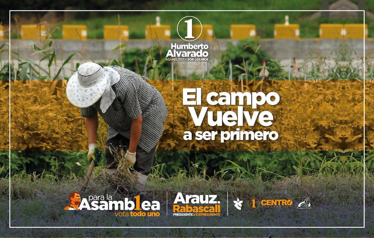 Jovenescon_RC's tweet photo. Solo con un gobierno como el de la Revolución Ciudadana las necesidades de la gente vuelven a ser primero. ¡Regresamos la mirada al campo! Legislaremos para impulsar la reactivación económica a través de la agricultura y el comercio. #LosRíosVuelveABrillar #LosRíosVotaUNO https://t.co/SV8JcVoyIA