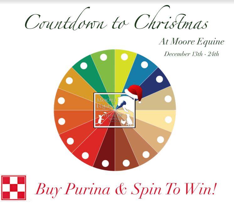 MooreEquine1's tweet photo. 🎁 There's Still Time To Save 🎄 - https://t.co/dGB9QBA3Bm https://t.co/NbtQYB4KeZ