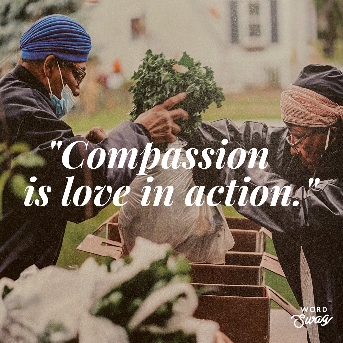 AldertonWrites's tweet photo. "Compassion is love in action." Please consider ordering Issue 1 of @ROC_mag to read my article "Compassion in the Age of COVID," which celebrates acts of service during the pandemic. This publication has a beautiful design — and a beautiful mission! https://t.co/3oT6ydtuvB https://t.co/bvqb76eZww