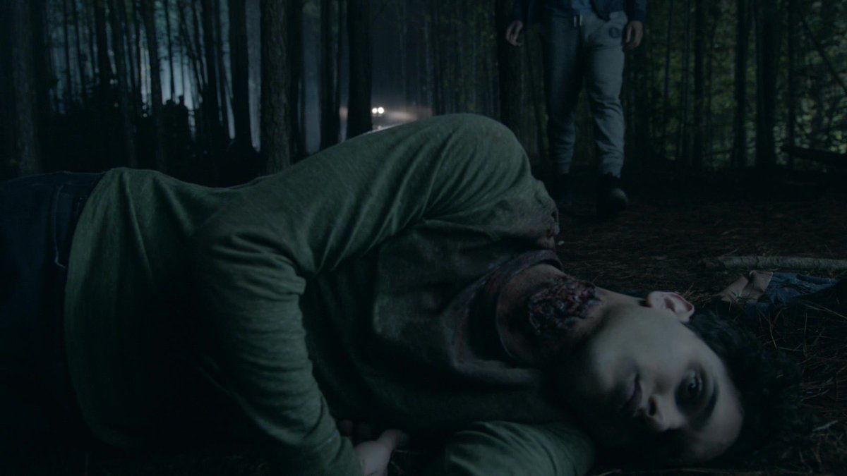 "pass the blood snd bruises, pass the curses and cries, beyond the terror in the nightfall, haunted by the look in my eyes, i would've loved you for a lifetime..."