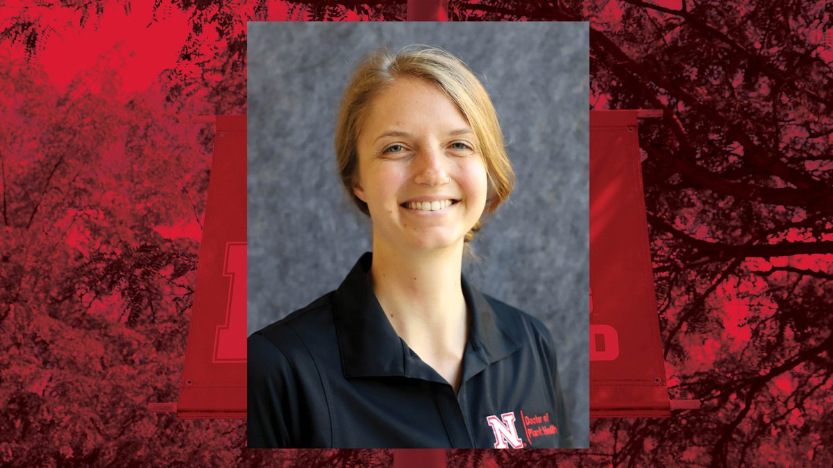 unlagrohort's tweet photo. Vegetable Variety Navigator - new decision support tool for specialty crop producers & gardeners for high-yielding, high-quality vegetable varieties for their soil climate. Developed by Ali Loker & @UNL_EnvrHort. https://t.co/ou1Pl8lssz #UNL #NebExt #UNLAgroHort #UNLdph https://t.co/9affqUxqBT