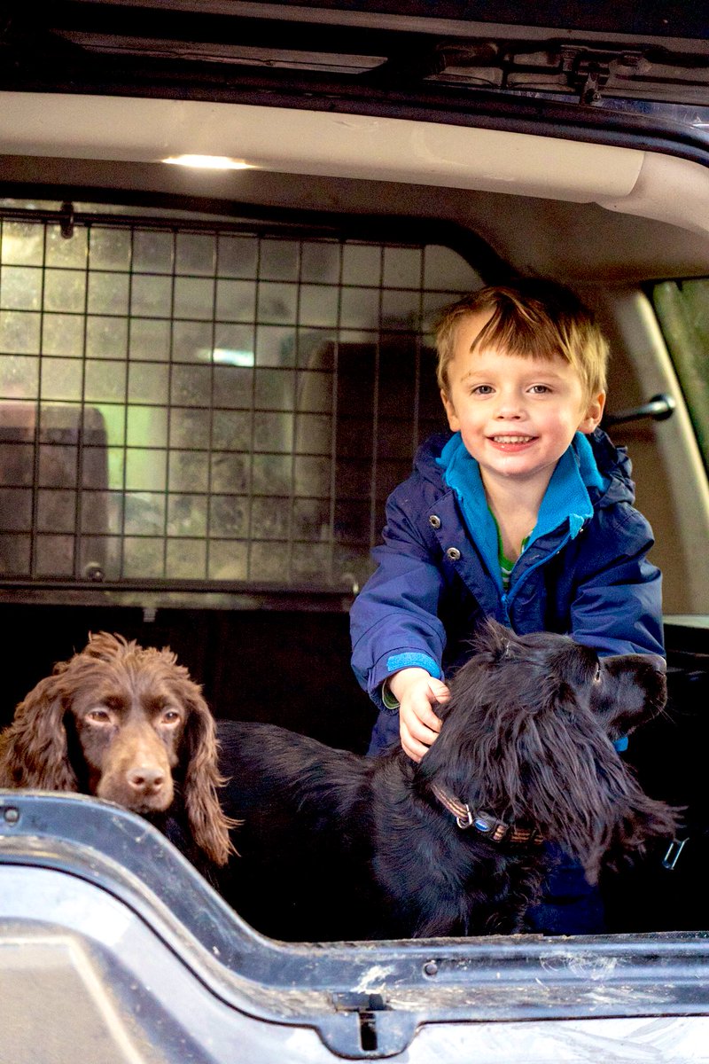 Sarah Hawthorne 🌼🐝 tweet media