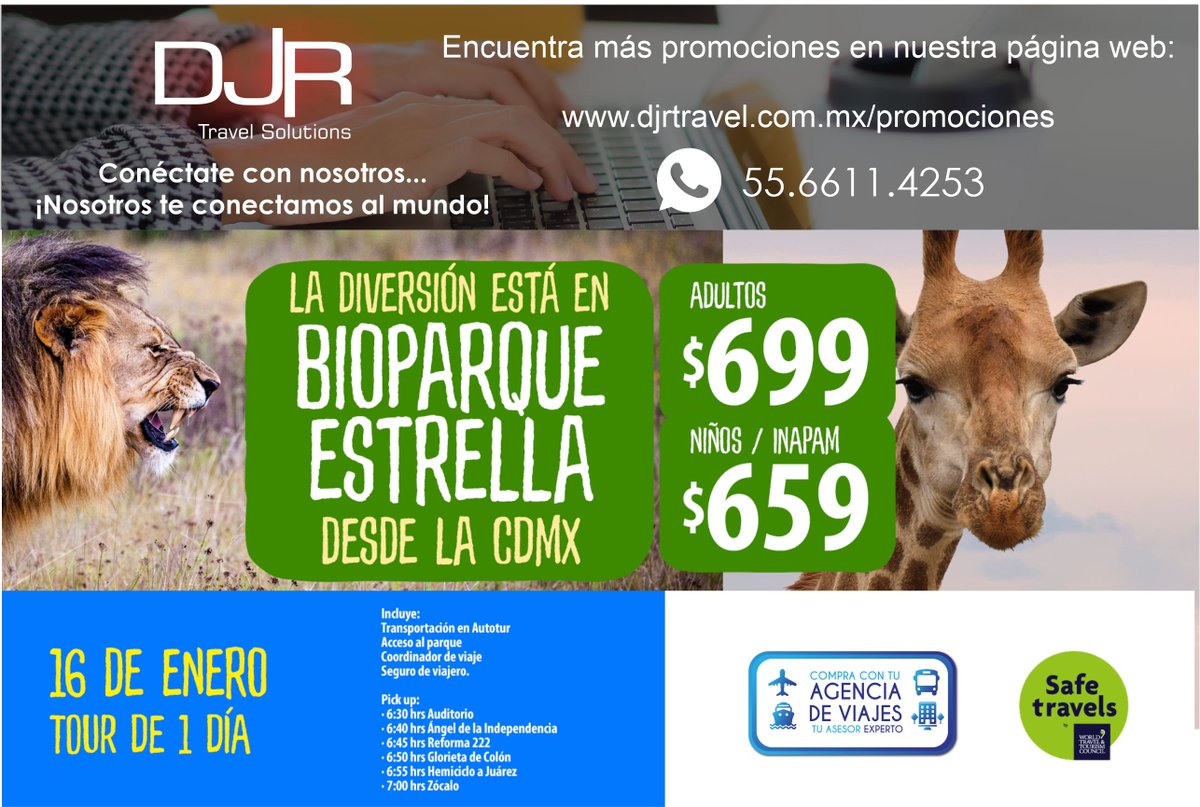 DJR_Travel's tweet photo. DIVERSION PARA TODA LA FAMILIA, Aventura &amp; Vida Salvaje!

Encuentra promociones en nuestra pagina web: https://t.co/kRxtB1DmEP

#BioparqueEstrella #turismo #travelblogger #travelagency #turismonacional #viajesfamiliares #travel #traveling #paquetesturisticos #vacacionesenfamilia https://t.co/3ETITjkCm8