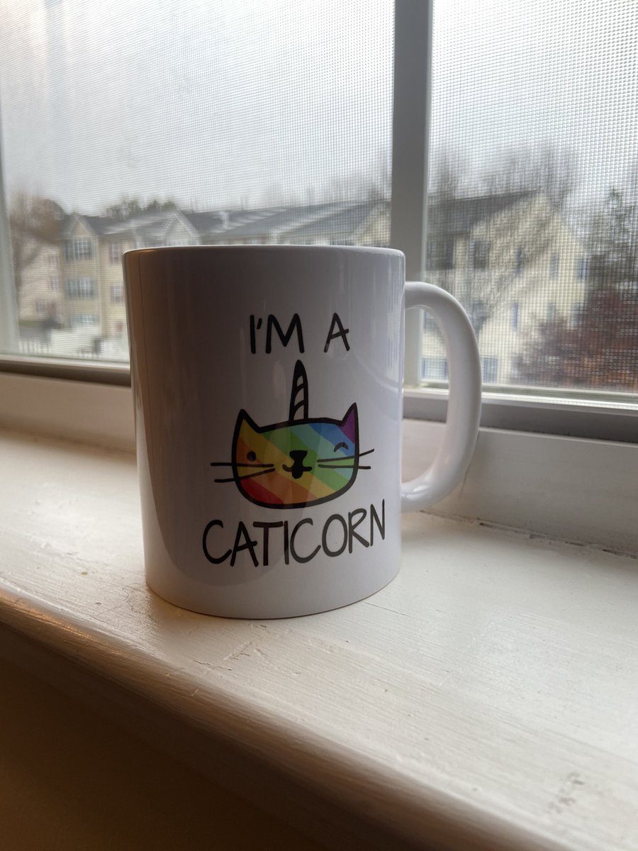 MathWithMrCole's tweet image. My biggest worry with teaching virtually was that my students wouldn’t get to know the real me... the coffee addicted, sarcastic me who loves Disney, music, and my cat way too much. This gift from a student shows that they know everything they need to know about me 😍