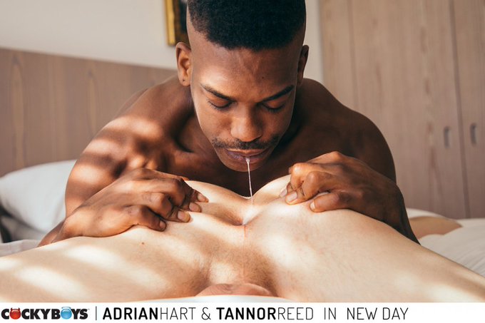 My new scene with @AdrianHartJax is one of my favorites ever 🥰  It's A New Day @cockyboys and I got to<a class="tags" href="/tag/adrianhartjax">@adrianhartjax</a>