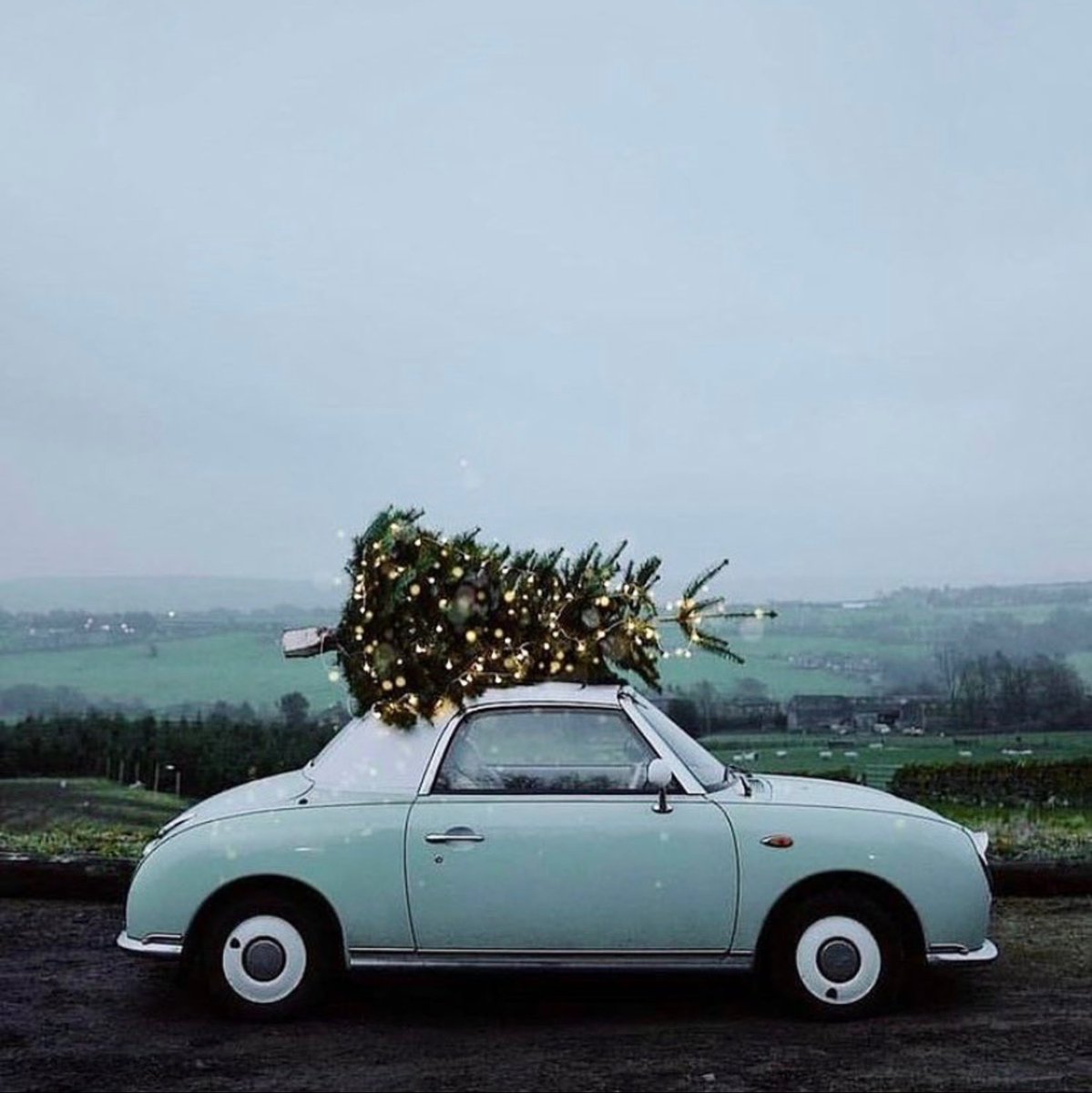 All I want for Christmas is you ... and Bodega Bay. 🎄

📷 - <a href="/meandorla/">Sara Tasker</a>