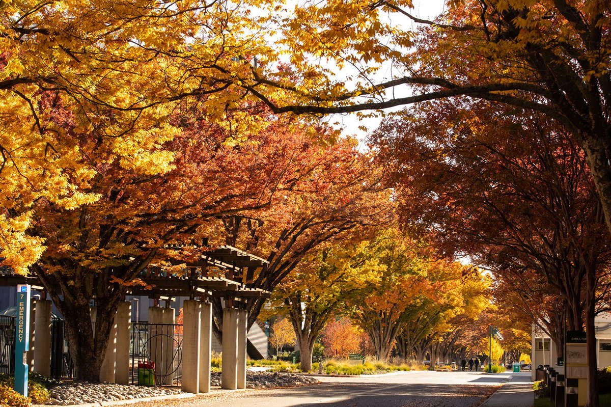sacstate's tweet photo. Sending positive vibes. β¨π Hope finals are going well, Hornets! #fallingforsacstate
πΈ Sacramento State/Andrea Price https://t.co/Ze1v77d9D9