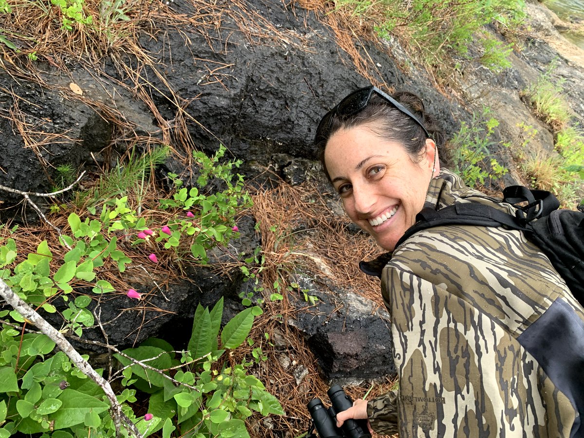 The ecosystem was first described by Georgia Botanist James Allison in 1992. Amy and I explored it this past spring, without even knowing about its significance. it was an amazing place. can't wait to go back.