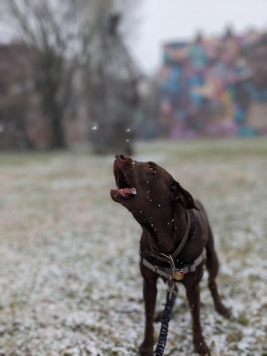 Downtown Events tweet media