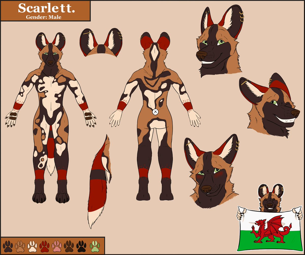 JagsyRedPanda's tweet photo. It's #wilddogwednesday and #dogcember, so time to report my wild dog Scarlett!
-- NSFW --- https://t.co/HWVyoobxpi