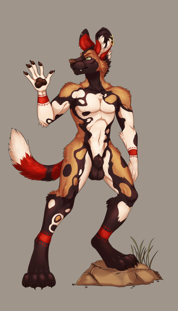 JagsyRedPanda's tweet photo. It's #wilddogwednesday and #dogcember, so time to report my wild dog Scarlett!
-- NSFW --- https://t.co/HWVyoobxpi