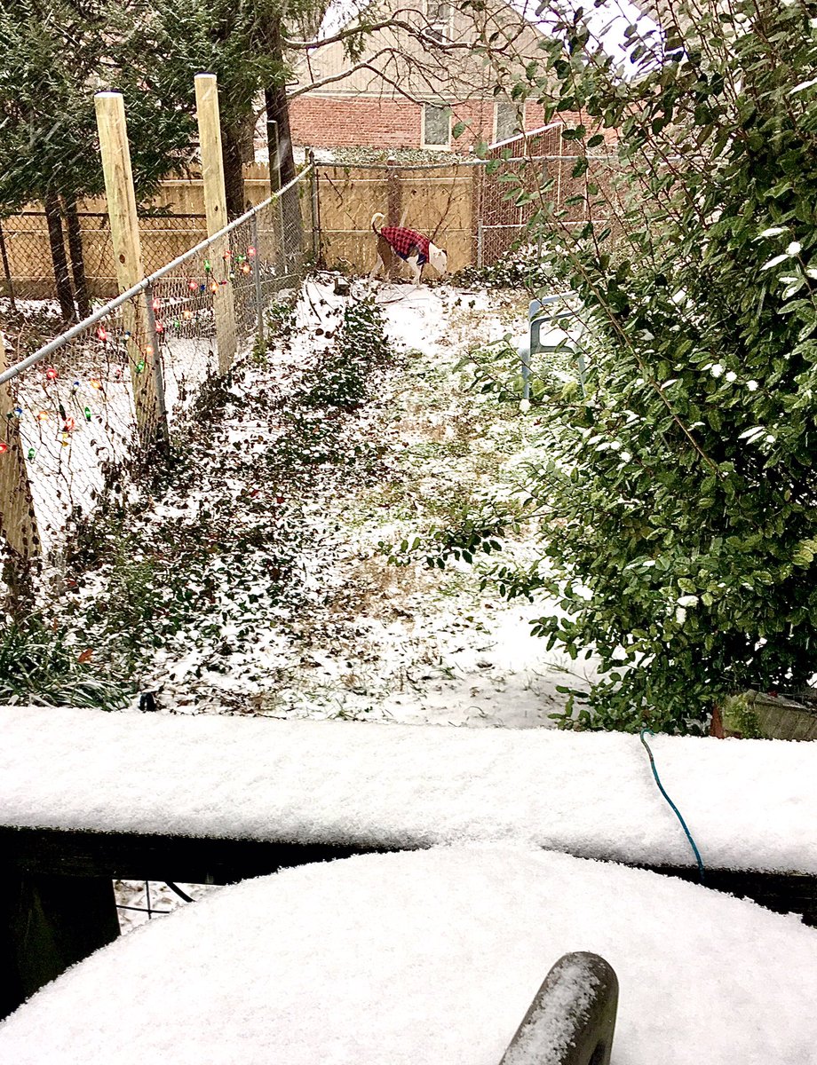 Donaleendc's tweet photo. #snowday9
#WUSA9Weather  
#afternoon’nShepherdPark https://t.co/GLvYJfFZsQ