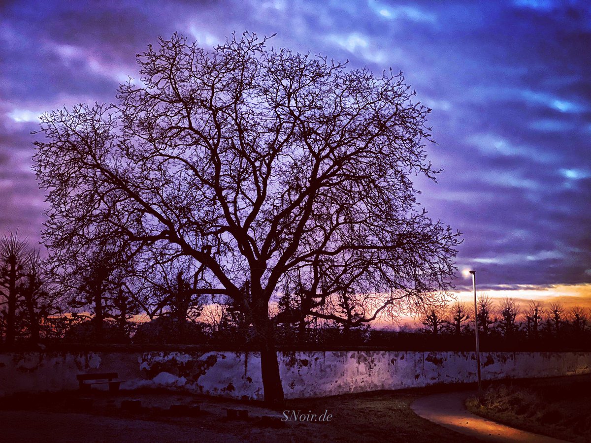 stefan_noir's tweet photo. Der lyrische Blick: Abendspaziergang beim Schloss (Seehof) - mein kleines Fleckchen von Erinnerung an Frankreich. 

#SNS #DichterAusKronach #Denker #Dichter #Bamberg #Welterbe #Weltkulturerbe #Schloss #ig_oberfranken #ig_bayern #upperfranconia #Tradition #SpaziergangIstTradition https://t.co/lwt7nlF91Y