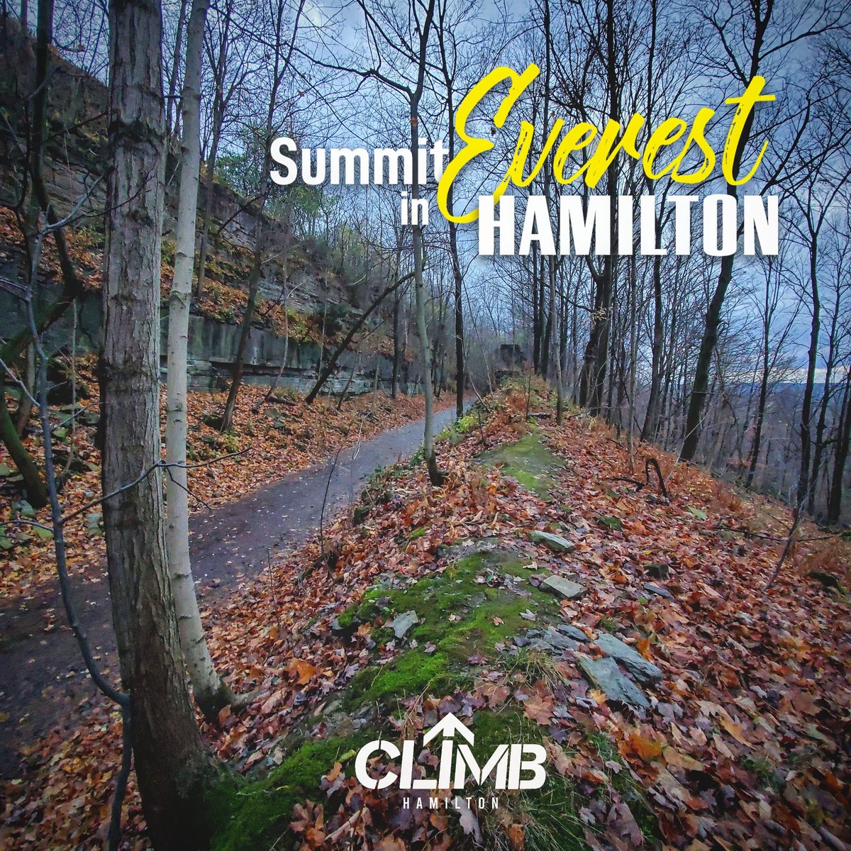 CLIMBHamilton's tweet image. It's not getting colder, it's just getting more like the real thing. 

Climb #EverestInHamont, now until December 31st. 4x up and down the epic Chedoke Radial Trail, benefitting important causes in the #HamOnt community. 
Climbhamilton.com