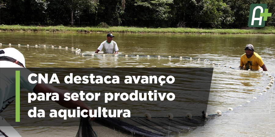 agromaistv's tweet photo. O direito de uso dos recursos hídricos passa da Agência Nacional de Águas, para a Secretaria de Aquicultura e Pesca do Ministério da Agricultura. Pelo novo decreto, o aquicultor deverá apresentar à Secretaria um projeto técnico e responsável técnico habilitado. #AgroMais https://t.co/NqrFwhrB1O