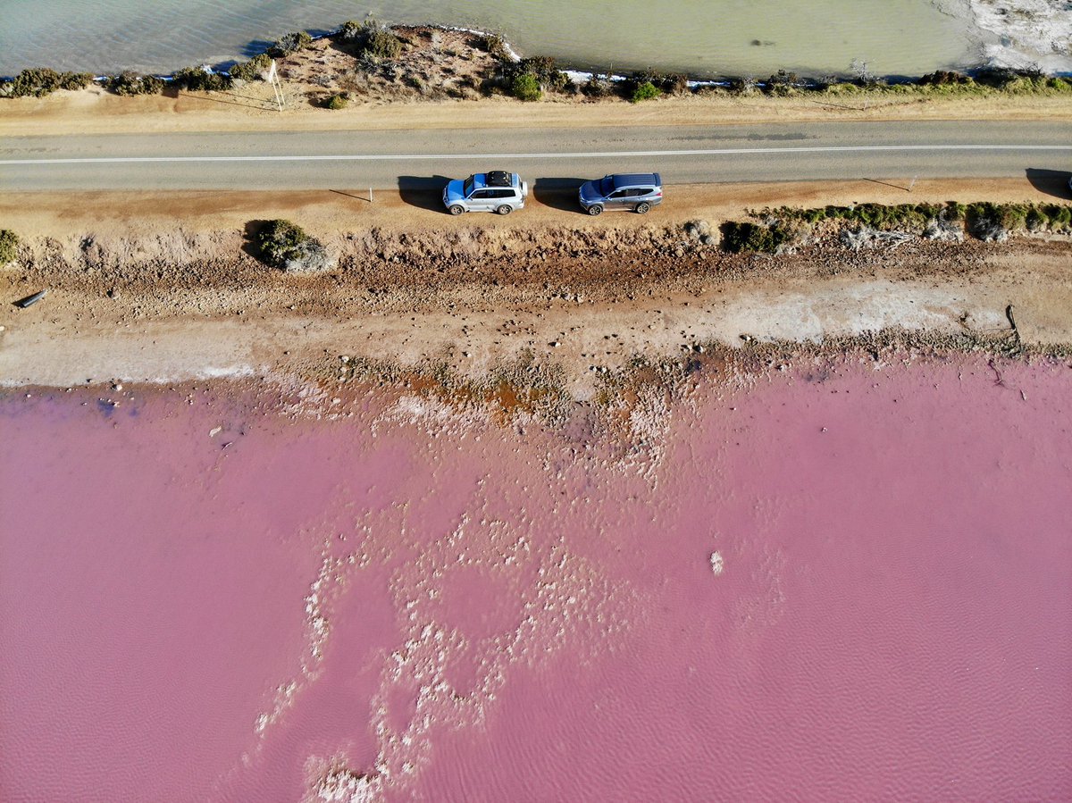 Pink lake my sweet a** 😳🔫 😂 
Don’t get me wrong, it is slightly pale pinkish, but not like you’d imagine... the color only gets clear when flying the drone over it AND EVEN THIS IS PIMPED WITH PHOTOSHOP! Obviously 🙄😂😜
#pinklake #pinklakeinaustralia #pinklakes #pink #lake