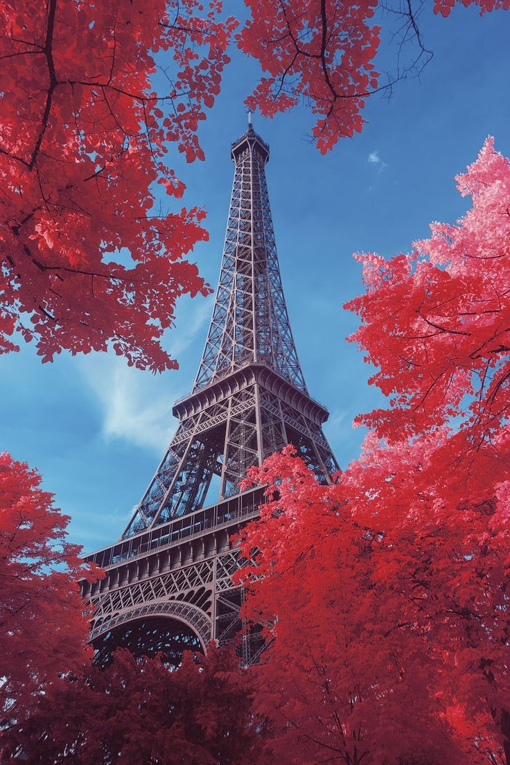 Eiffel Tower, Paris, France 🇫🇷

#France #eiffeltower #Paris #beautifuldestinations