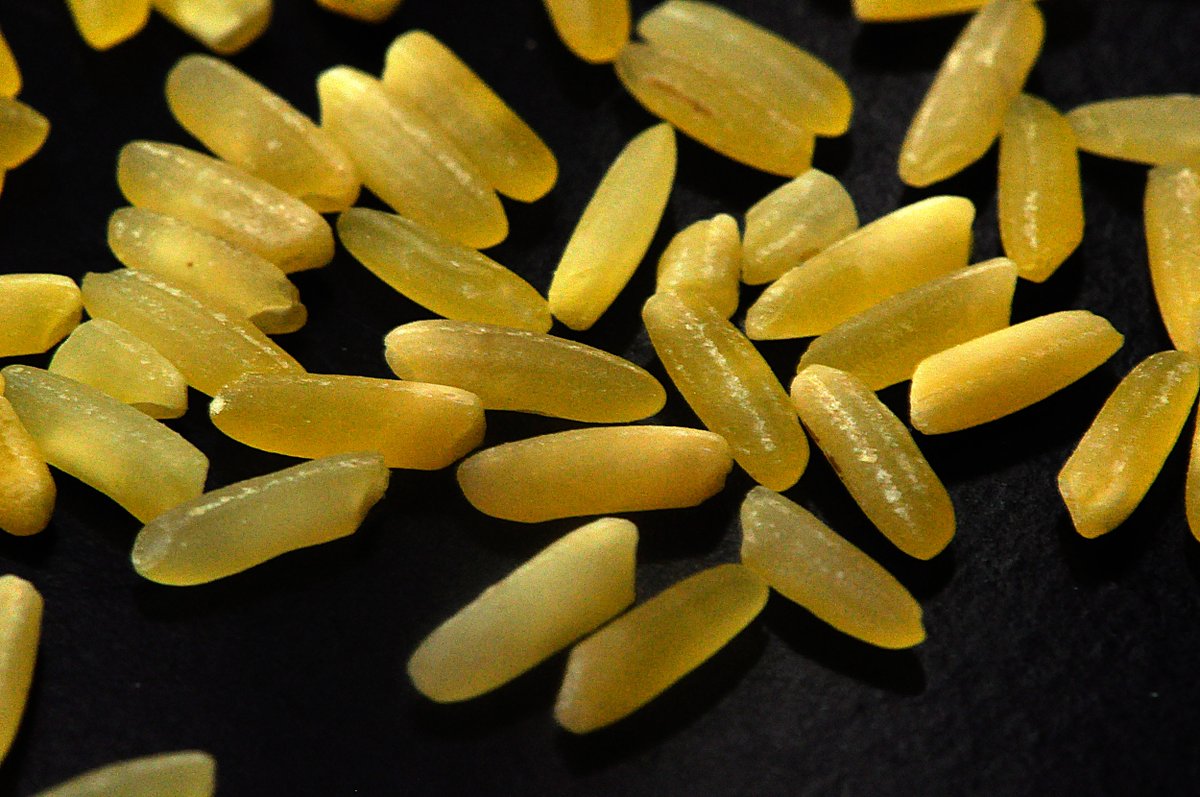 MalusogRice's tweet photo. Follow Golden Rice Ph on Facebook for updates🌾
https://t.co/8l5mQXs7S7
Let your support for the approval of Golden Rice be heard! Send an email to: bpibiotechsecretariat@gmail.com
#ItsTimeForGoldenRice #GoldenRicePH #GoldenRiceAprub @gatesfoundation https://t.co/b8iDFCpmQt