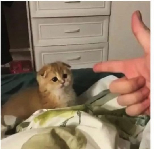 زهقان On Twitter سلم نفسك أنت محاصر Https T Co Ei4jdzqsuo Twitter