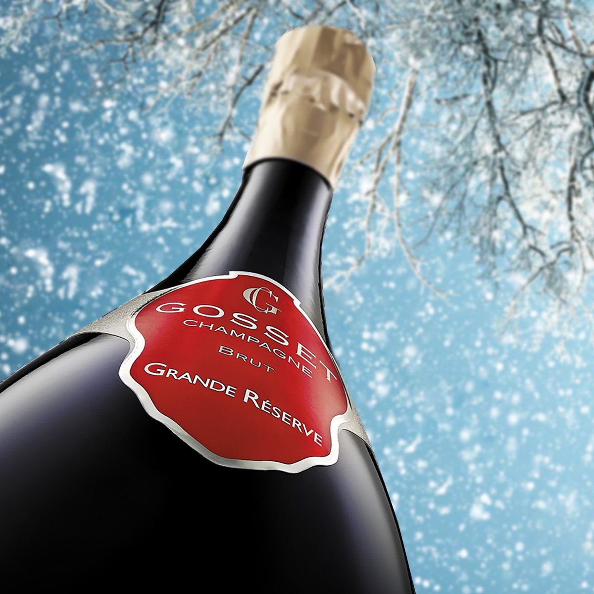 Celebrate You! Pop open a bottle. You deserve a toast with the finest bubbling champagne this holiday season.  On Sale for $44.98 🔥
.
.
.
.
.
#champagne #wine #bubble #luxury #spirits #toast #celebrate #sale #love #bar #party #massachusetts #gosset #georgiosliquors