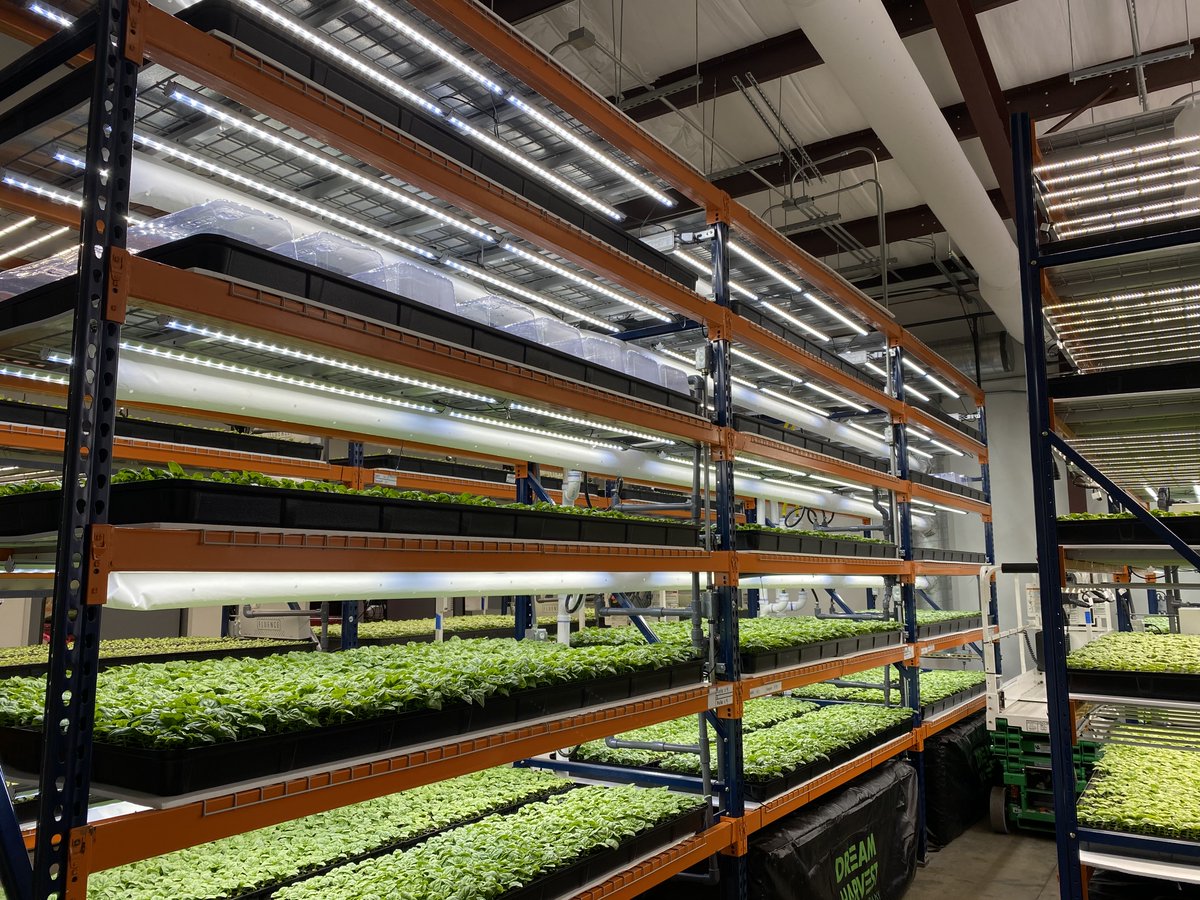 Our #verticalfarm in Houston grows incredible produce in the heart of the city. That means fresher food, less food waste, more nutrition, better flavor, and fewer emissions. Add to that: We grow 400x+ the produce of an outdoor farm and use 95% less water. #sustainable #farming