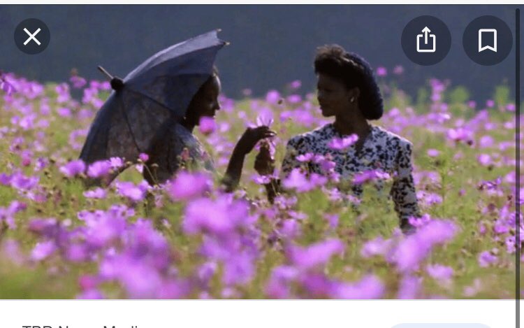 Alice Walker and The Colour Purple