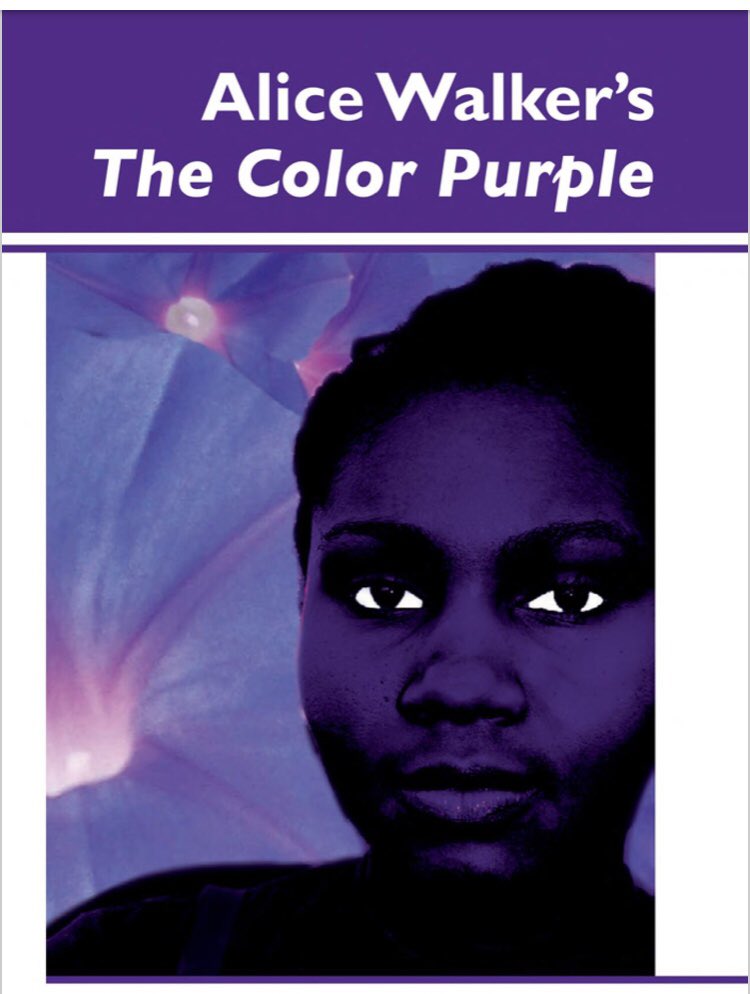 Alice Walker and The Colour Purple