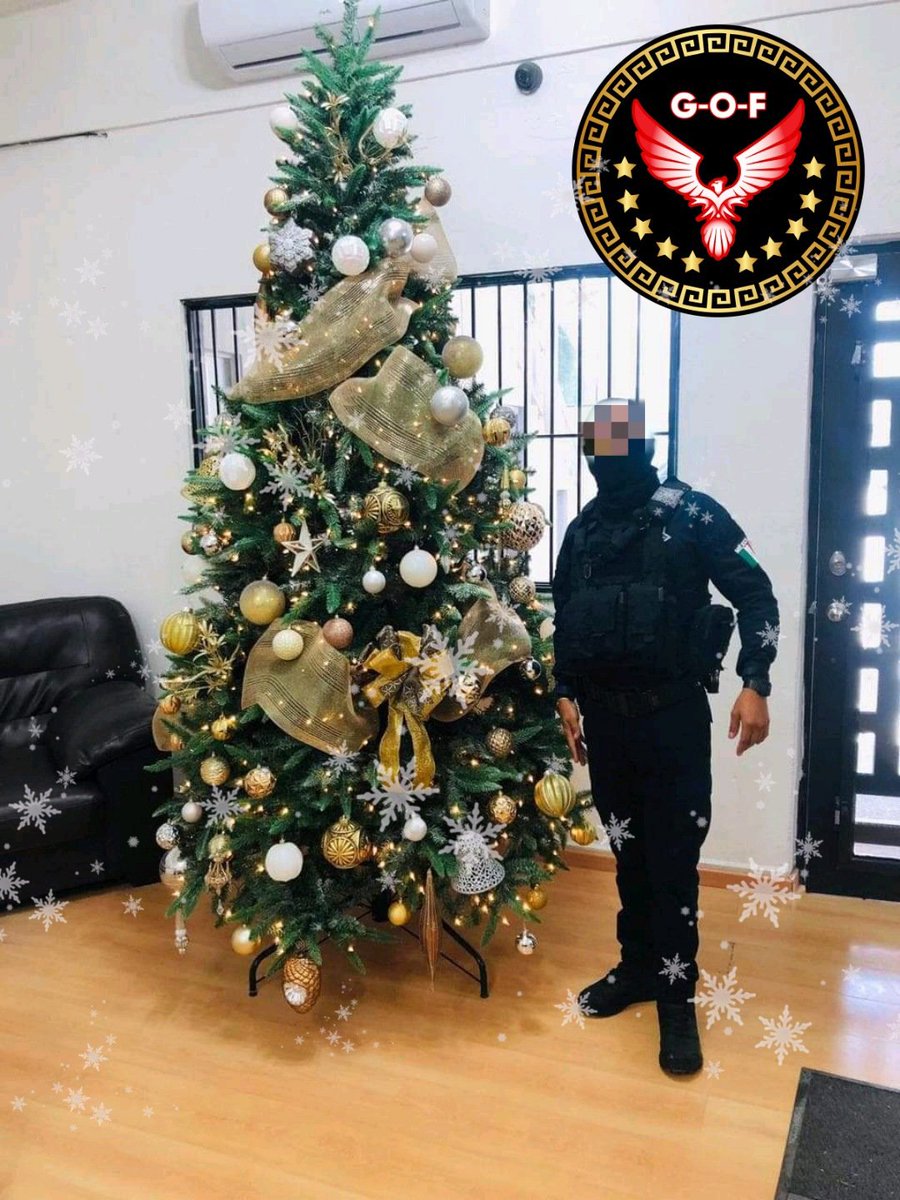 GOF_Tm's tweet photo. A veces necesitamos una pequeña chispa de magia para recrear nuestro existir, la Navidad es esa chispa. https://t.co/VuXeKc9Y34