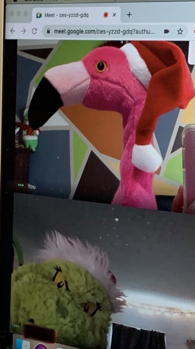 NbctSmith's tweet photo. A dancing Santa flamingo is the teacher and the Grinch is the student during this reluctant learner’s individual reading meeting. How do you engage students? #npstalk #GoogleMeet #santaflamingo #grinch #studentengagement2020 #virtualteaching #WhateverItTakes https://t.co/sDwfm4JT0z