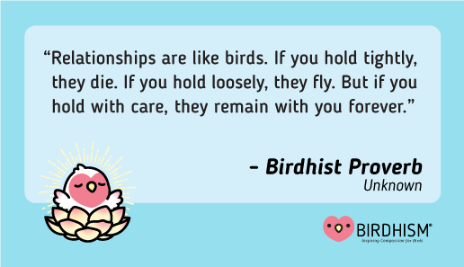 birdhism's tweet photo. Don't be too clingy, don't be too absent... find that happy medium. 
NAMASEED 💖 🦜 🕉 https://t.co/wpZss5tXIG