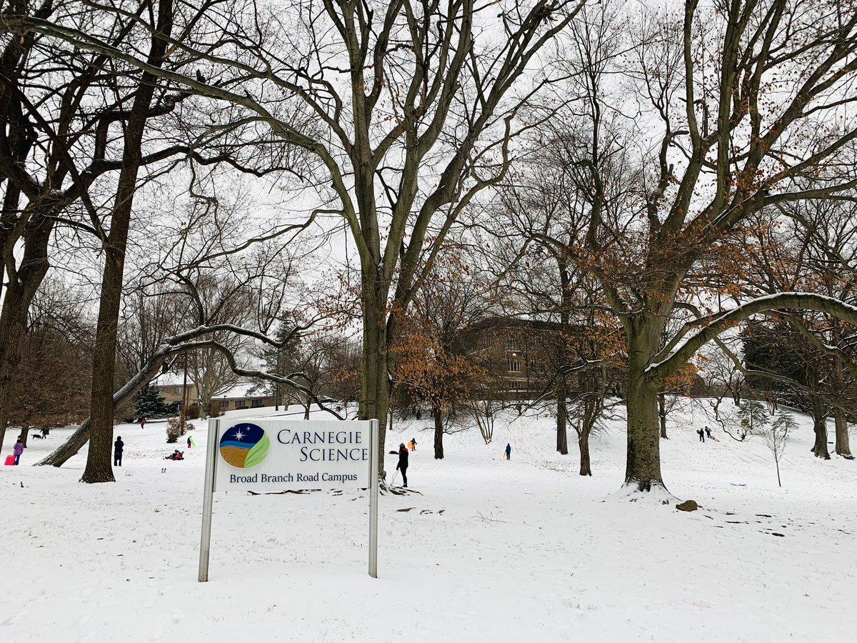 Zack Torrano tweet media